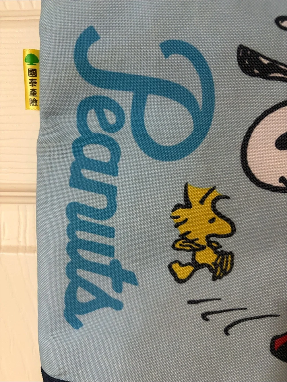 Peanuts Snoopy & Woodstock Skate Tote in Light Blue and Navy